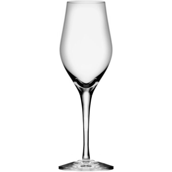 Orrefors Sense Champagneglas 25,5cl 6-pak